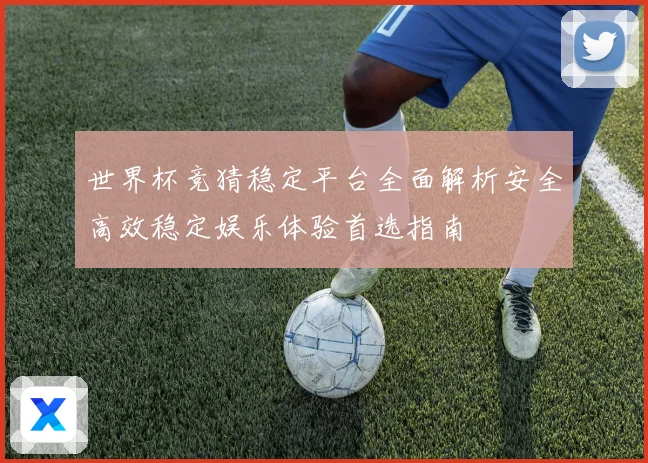 世界杯竞猜稳定平台全面解析安全高效稳定娱乐体验首选指南